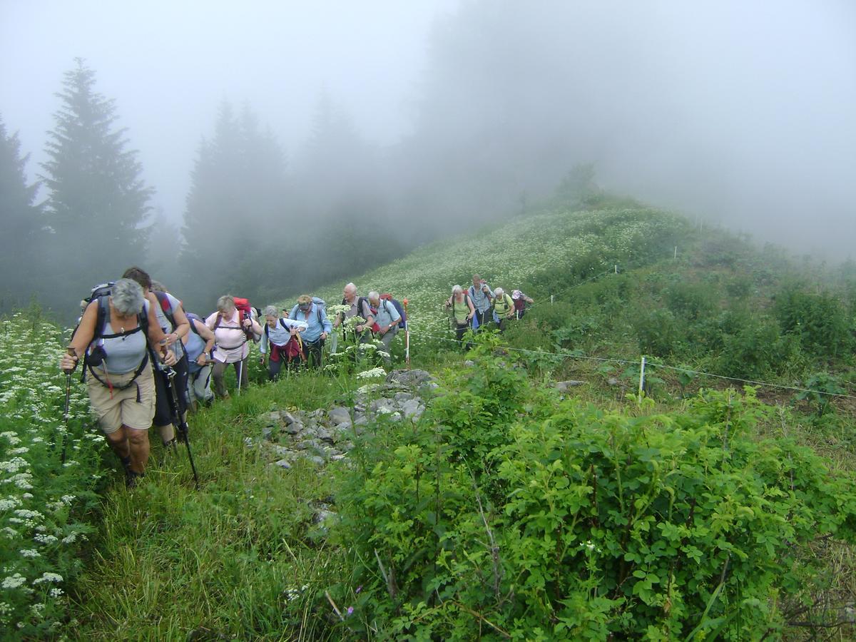 Albergo La Pace Pradleves Buitenkant foto